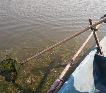 打捞湖面漂浮物，净化水环境